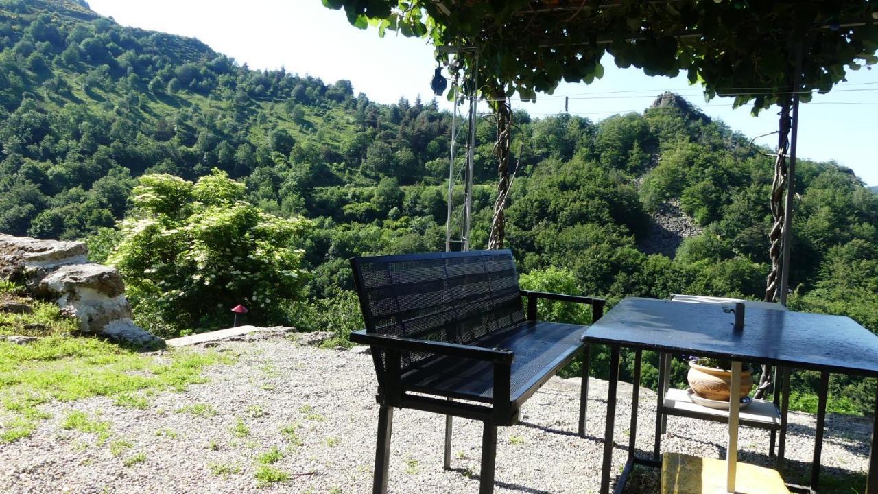 Gite De Noe Au Ray-Pic Pereyres 외부 사진